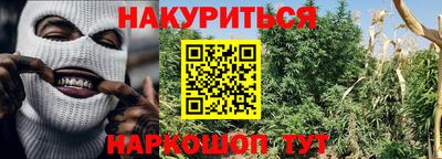 наркотики Будённовск
