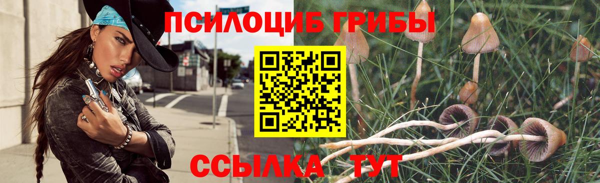 Рузаевка  Псилоцибиновые грибы мухоморы  Галлюциногенные грибы Psilocybe  закладка  Вход с VPN 